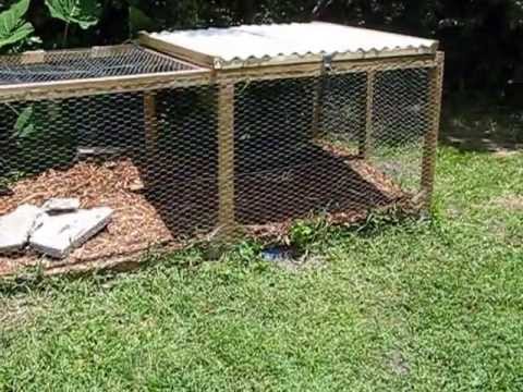 Dog cages for cheap