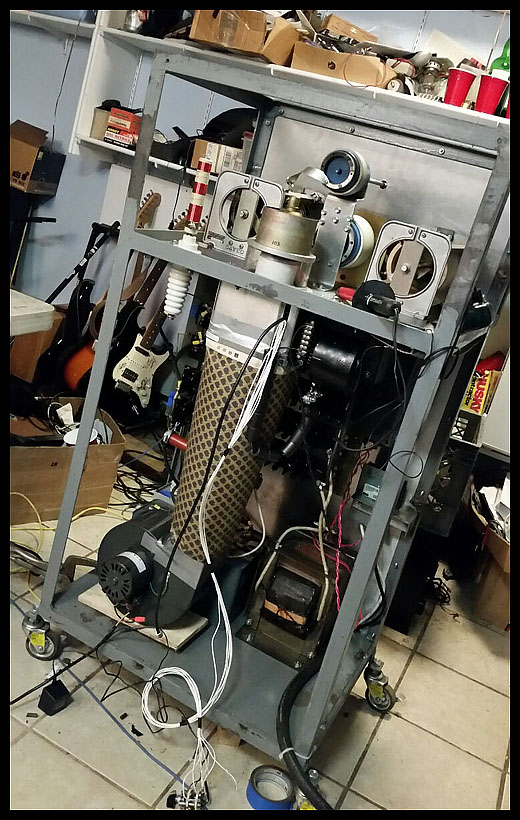 Buy tangled movie