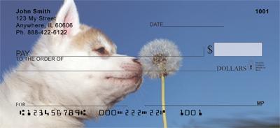 Bing : puppy pads cheap language:en