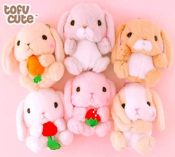 Where can you buy japanese candy kits