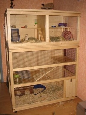 Bing : cheap dog cages language:en