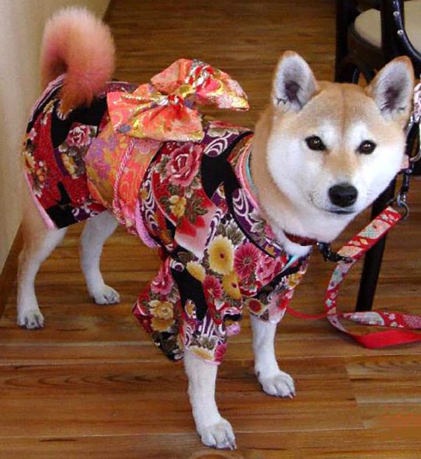 Cheap kimono