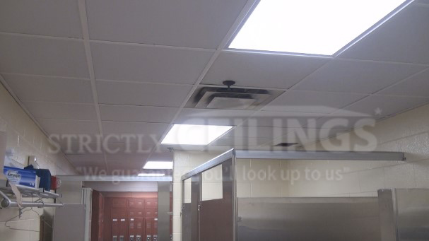 Bing : cheap drop ceiling language:en